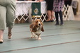 Enlarge photo 43