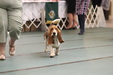 Enlarge photo 42