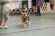 Enlarge photo 41