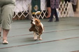 Enlarge photo 38