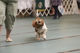 Enlarge photo 36