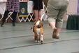Enlarge photo 31