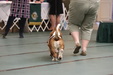 Enlarge photo 30