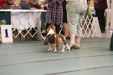 Enlarge photo 27