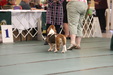 Enlarge photo 26