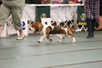 Enlarge photo 25