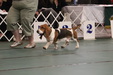 Enlarge photo 20
