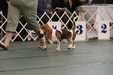 Enlarge photo 19