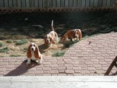 Enlarge photo 2