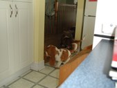 Enlarge photo 11