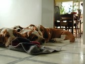 Enlarge photo 25