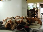 Enlarge photo 26