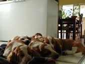 Enlarge photo 27