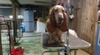 Enlarge photo 10