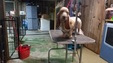 Enlarge photo 59