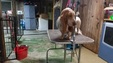 Enlarge photo 58