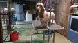 Enlarge photo 57