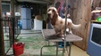Enlarge photo 54
