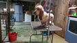 Enlarge photo 52