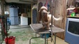 Enlarge photo 63