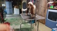 Enlarge photo 42