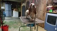 Enlarge photo 41