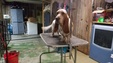 Enlarge photo 39