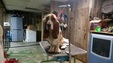 Enlarge photo 37