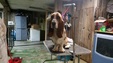 Enlarge photo 47