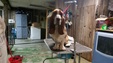 Enlarge photo 31