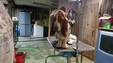 Enlarge photo 27