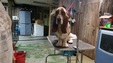 Enlarge photo 24