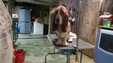 Enlarge photo 21