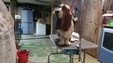 Enlarge photo 16