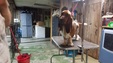 Enlarge photo 48