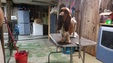 Enlarge photo 46