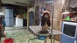 Enlarge photo 30