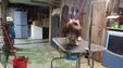 Enlarge photo 29