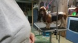 Enlarge photo 36