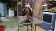 Enlarge photo 34