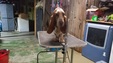 Enlarge photo 33