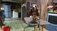 Enlarge photo 7