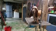 Enlarge photo 2