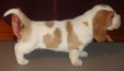 Enlarge photo 2