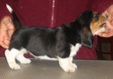 Enlarge photo 23
