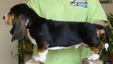 Enlarge photo 5