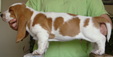 Enlarge photo 10