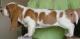 Enlarge photo 11