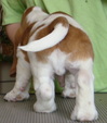 Enlarge photo 16