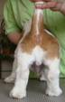 Enlarge photo 17